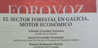 FOROVOZ O sector forestal en Galicia, motor económico