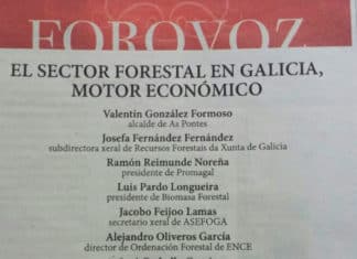 FOROVOZ O sector forestal en Galicia, motor económico