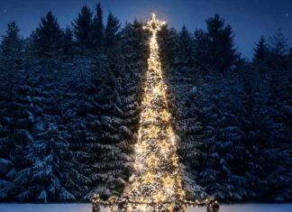 Acto de encendido da iluminación pública de Nadal