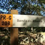 sendadest