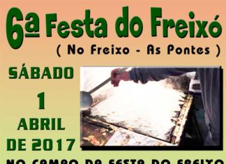 VI Festa do Freixó
