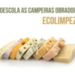 ecolimpeza-dest