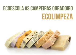 Obradoiro de Ecolimpeza na Ecoescola As Campeiras