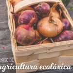 Ecoloxica