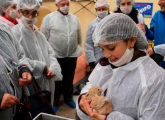 A asociación a Xanela de visita na granxa Xaraleira