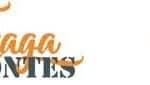 banner-festas-carmen-largo