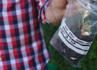 O CONCELLO PON EN MARCHA O PROGRAMA “AS PONTES COMPOSTA. A FORMA NATURAL DE RECICLAR”