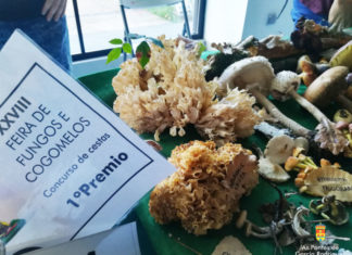 ABERTO O PRAZO DE INSCRICIÓN NO CONCURSO DE CESTAS DA FEIRA DE FUNGOS E COGOMELOS DAS PONTES