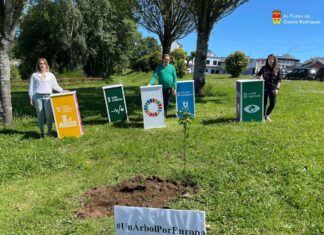 AS PONTES PLANTA #UNHAÁRBOREPOREUROPA