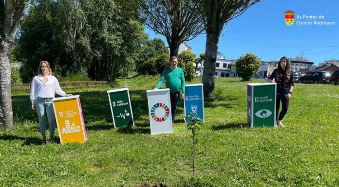 AS PONTES PLANTA #UNHAÁRBOREPOREUROPA