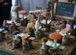 ABERTO O PRAZO DE INSCRICIÓN NO CONCURSO DE CESTAS DA XXXIII FEIRA DE FUNGOS E COGOMELOS DAS PONTES