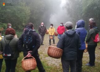 O CONCELLO ORGANIZA AS II XORNADAS MICOLÓXICAS “AS PONTES, TERRA DE COGOMELOS”