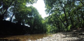AS PONTES TRABALLA NA ELABORACION DUN PLAN DE INFRAESTRUTURAS VERDES