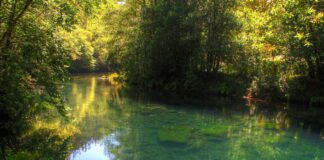 AS PONTES SÚMASE Á MANIFESTACIÓN CONTRA O PLAN REITOR DE USOS E XESTIÓN DO PARQUE NATURAL FRAGAS DO EUME