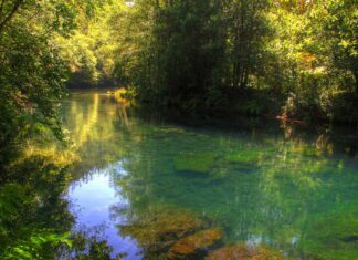 AS PONTES SÚMASE Á MANIFESTACIÓN CONTRA O PLAN REITOR DE USOS E XESTIÓN DO PARQUE NATURAL FRAGAS DO EUME