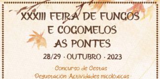A FEIRA DE FUNGOS E COGOMELOS DAS PONTES CELEBRA A SÚA XXXIII EDICIÓN