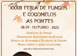 A FEIRA DE FUNGOS E COGOMELOS DAS PONTES CELEBRA A SÚA XXXIII EDICIÓN