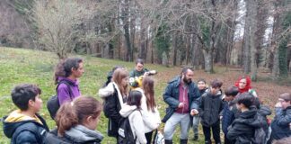 O CONCELLO DAS PONTES ORGANIZA PASEOS MICOLÓXICOS COS CENTROS EDUCATIVOS DO MUNICIPIO