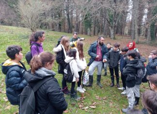O CONCELLO DAS PONTES ORGANIZA PASEOS MICOLÓXICOS COS CENTROS EDUCATIVOS DO MUNICIPIO