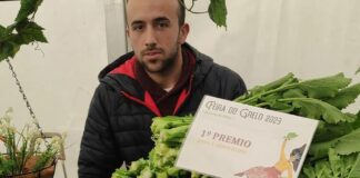 AS PONTES REPARTIRÁ 1.500 EUROS NO CONCURSO DE CESTAS DA XLIII FEIRA DO GRELO
