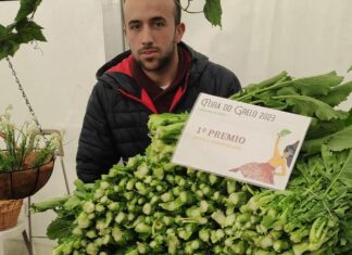 AS PONTES REPARTIRÁ 1.500 EUROS NO CONCURSO DE CESTAS DA XLIII FEIRA DO GRELO