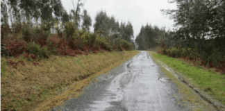 AS PONTES LICITA AS OBRAS DE MELLORA DE CAMIÑOS RURAIS EN TERBÁ E PENA DO CURRO
