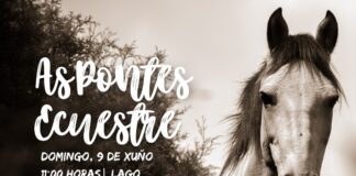 A SEGUNDA EDICIÓN DE “AS PONTES ECUESTRE” CELEBRARASE O 9 DE XUÑO NA CONTORNA DO LAGO