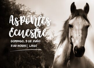 A SEGUNDA EDICIÓN DE “AS PONTES ECUESTRE” CELEBRARASE O 9 DE XUÑO NA CONTORNA DO LAGO