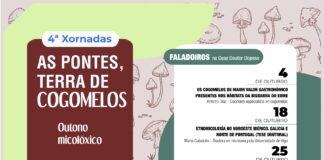 O CONCELLO DAS PONTES DÁ A BENVIDA AO OUTONO CO INICIO DA 4ª EDICIÓN DO PROGRAMA MUNICIPAL “AS PONTES, TERRA DE COGOMELOS”