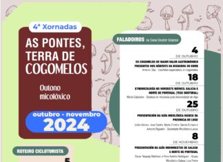 O CONCELLO DAS PONTES DÁ A BENVIDA AO OUTONO CO INICIO DA 4ª EDICIÓN DO PROGRAMA MUNICIPAL “AS PONTES, TERRA DE COGOMELOS”