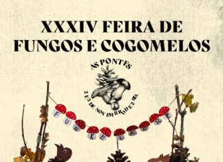 AS PONTES CELEBRA A XXXIV EDICIÓN DA FEIRA DE FUNGOS E COGOMELOS