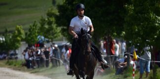 “AS PONTES ECUESTRE” REGRESA AO LAGO O 7 DE XUÑO