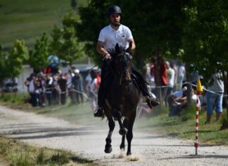 “AS PONTES ECUESTRE” REGRESA AO LAGO O 7 DE XUÑO