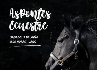 “AS PONTES ECUESTRE” CONTARÁ CON PRETO DE 100 SAÍDAS A PISTA NO CONCURSO DE SALTO E A PARTICIPACIÓN DE 120 DEPORTISTAS NA PROBA GALEGA DE ANDADURA