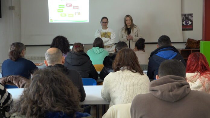 Programa Integrado de Emprego