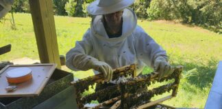 O CONCELLO DAS PONTES E A ASOCIACIÓN CASA DO MEL IMPULSAN A CREACIÓN DUN CENTRO APÍCOLA E DE PRODUTOS AGROALIMENTARIOS EN GOENTE