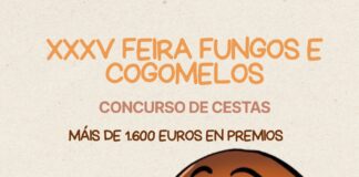 AS PONTES CONVOCA O CONCURSO DE CESTAS DA XXXV EDICIÓN DA FEIRA DE FUNGOS E COGOMELOS