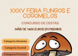 AS PONTES CONVOCA O CONCURSO DE CESTAS DA XXXV EDICIÓN DA FEIRA DE FUNGOS E COGOMELOS