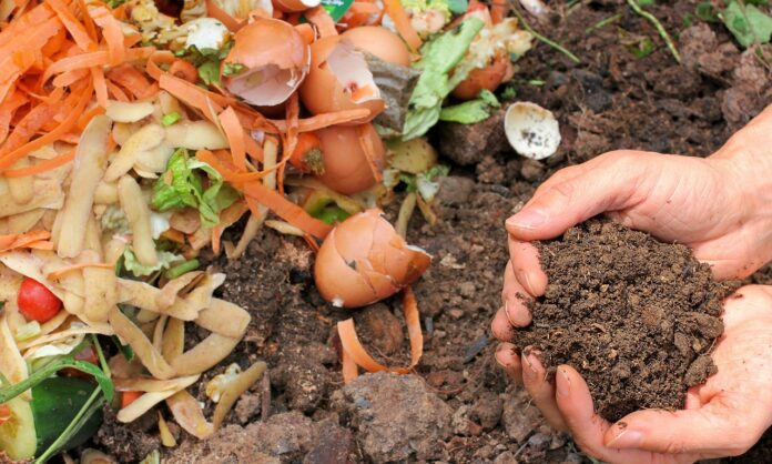 compost-6053136_1280