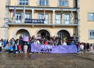 DECLARACIÓN INSTITUCIONAL 25 N- Día Internacional para a Eliminación da Violencia contra as Mulleres